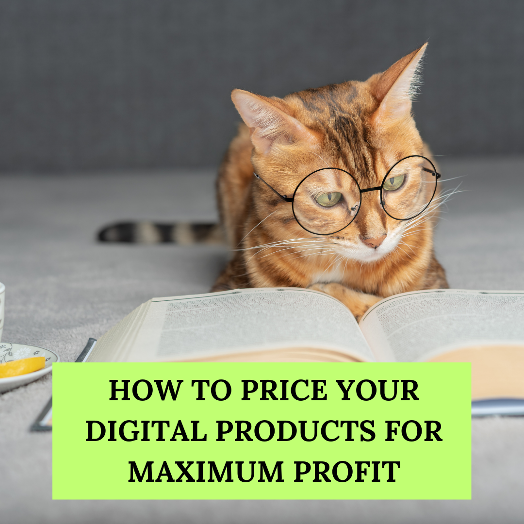 Product pricing for digital products